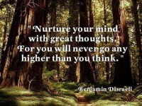 /album/think-positive-info/disraeli-jpg/