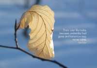 /album/think-positive-info/coren-jpg/