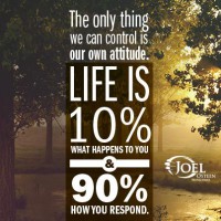 /album/think-positive-info/joel-jpg/