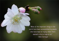 /album/think-positive-info/carneigre-jpg/