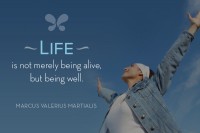 /album/think-positive-info/martialis-jpg/