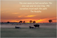 /album/think-positive-info/a364-a-jpg/