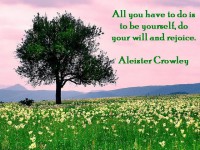 /album/think-positive-info/a333-a-jpg/