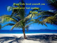 /album/think-positive-info/a406-a-jpg/