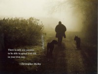 /album/think-positive-info/morley-jpg/