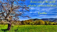 /album/think-positive-info/%ce%b5%ce%b9%ce%ba%cf%8c%ce%bd%ce%b1337-a-jpg/