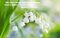 /album/think-positive-info/a750-a-jpg/